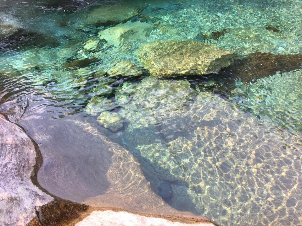 Hotel Pizzo Vogorno Zewnętrze zdjęcie