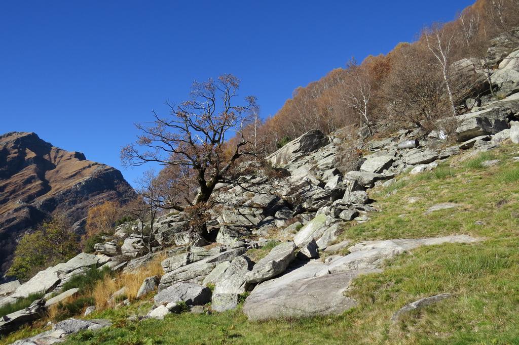 Hotel Pizzo Vogorno Zewnętrze zdjęcie
