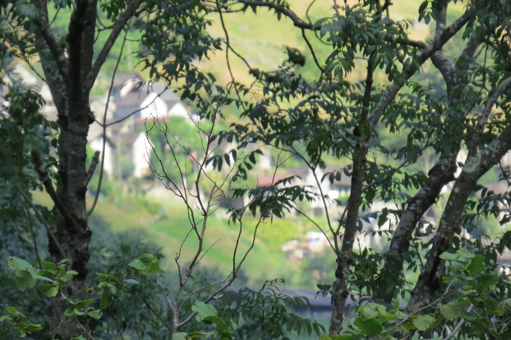 Hotel Pizzo Vogorno Zewnętrze zdjęcie