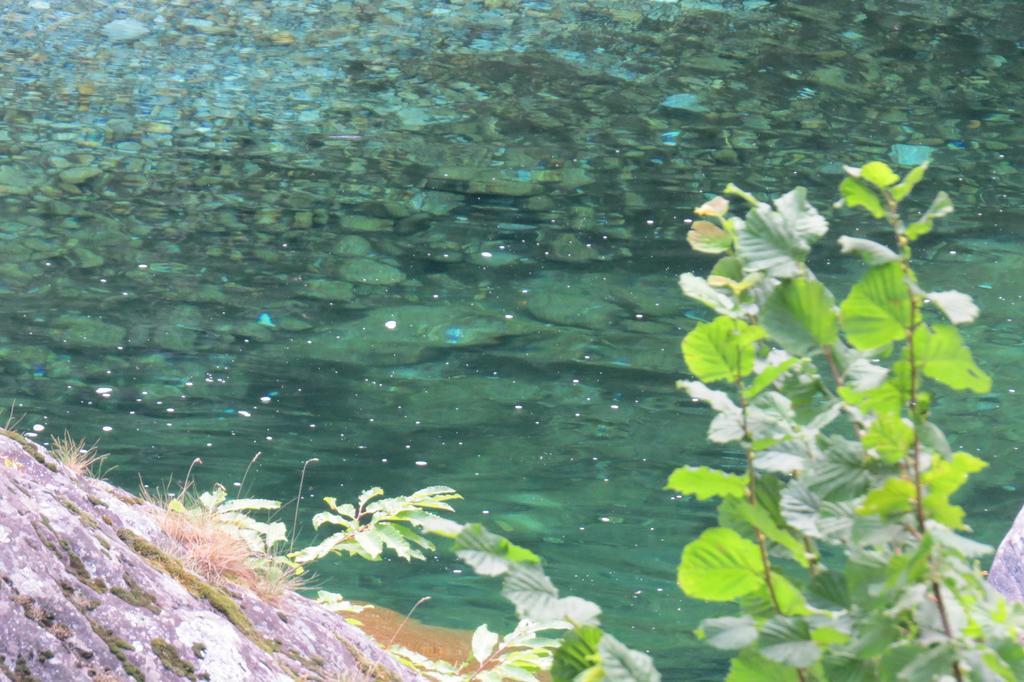 Hotel Pizzo Vogorno Zewnętrze zdjęcie